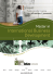 International Business Development