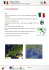 Scarica la dispensa in formato PDF