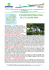 panorami d`irlanda 20-27 luglio 2014