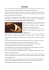 saturno - Studiareonline