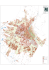 Mappa delle zone in categoria speciale