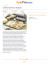 Ricetta Come tirare la sfoglia