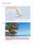 Miami Paradise - Home ⋆ Un Trolley di Viaggi