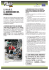 2. raee la dimensione del problema