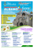 Albano in fiore 2015 - Manifesto_Layout 1