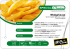 Wedgehouse - McCain Food Service