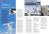 Magazin_4.qxd:Musterseite Magazin