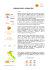 Company profile