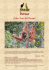 Borneo - WordPress.com