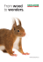 Apri catalogo generale in PDF