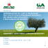 Workshop DETERMINAZIONE DEI COSTI DI PRODUZIONE DELL