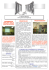 Scarica in Acrobat [] - Genitori Liceo Casiraghi