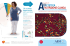 ttualità in - ADI - Associazione Italiana di Dietetica e Nutrizione Clinica