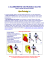 muscoli dei glutei - accademiasport.it