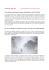 notizie meteo - Regata Torri Saracene