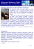 Newsletter SRM 127