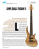 the PDF file