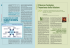 Il Reverse Factoring: l`importanza della relazione