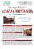 viaggio in - TIF Viaggi