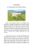 La mucca Un insegnamento della Madre-Natura