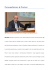 ricchetti pdf 473kb