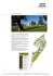 Coccaro Golf Club - Masseria Torre Maizza
