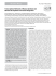 Transcriptional hallmarks of noonan syndrome and noonan‐like