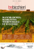 MANDRAROSSA. MARKETING TERRITORIALE DI SUCCESSO