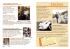 Brochure A5 Tuttosposi copy