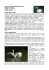 Nome comune: CIGNO SELVATICO (Inglese: swan)