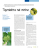 Tignoletta nel mirino