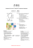 Mandarin Word List / Listino del vocabolario