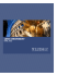 luiss university - LUISS Guido Carli