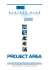 del curriculum della projectarea