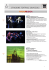 stagione teatrale 2014/2015 - Unione dei Comuni della via Emilia