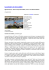 pdf articolo in pdf