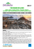 Tour Irlanda Sud e Nord partenza da Cagliari, Alghero