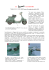LA 125 U del 1953 - Vespa Club San Vincenzo
