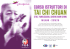 tai chi chuan