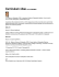 Curriculum vitae LUCA GIANNINI