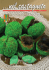 vol.10 - Associazione Tutela Marroni di Castione