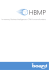 Board_HBMP - Gruppo Sistema