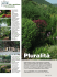 Pluralità - Centro Forestazione Urbana
