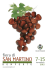 Programma Fiera di San Martino 2015