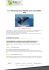Scarica il tour in pdf - Ruta 40 Tour Operator