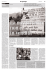 Il reportage 2 - Peace Watch Switzerland