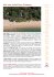 Eden Eco Lodge | Hotel per il soggirono mare in Madagascar a 1
