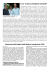 libretto elisabetta pdf