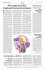 Testo articolo