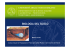 biologia del suolo - Marco Acutis home page